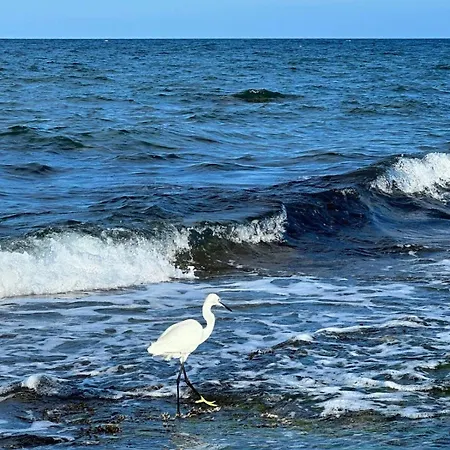 Locos Luxury Appartement *