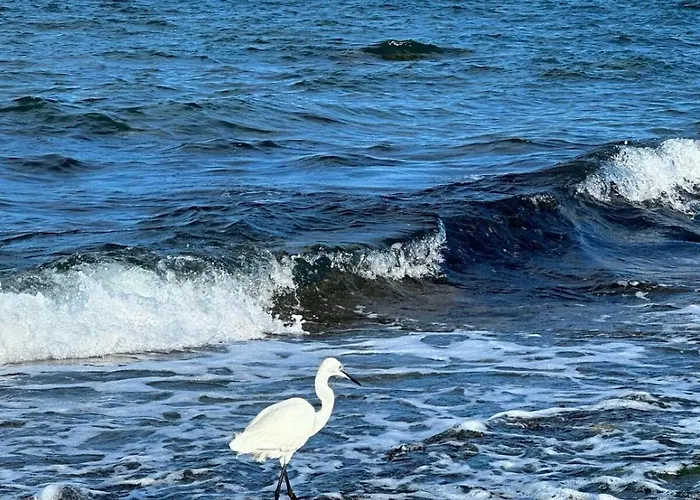 Locos Luxury Apartmán *